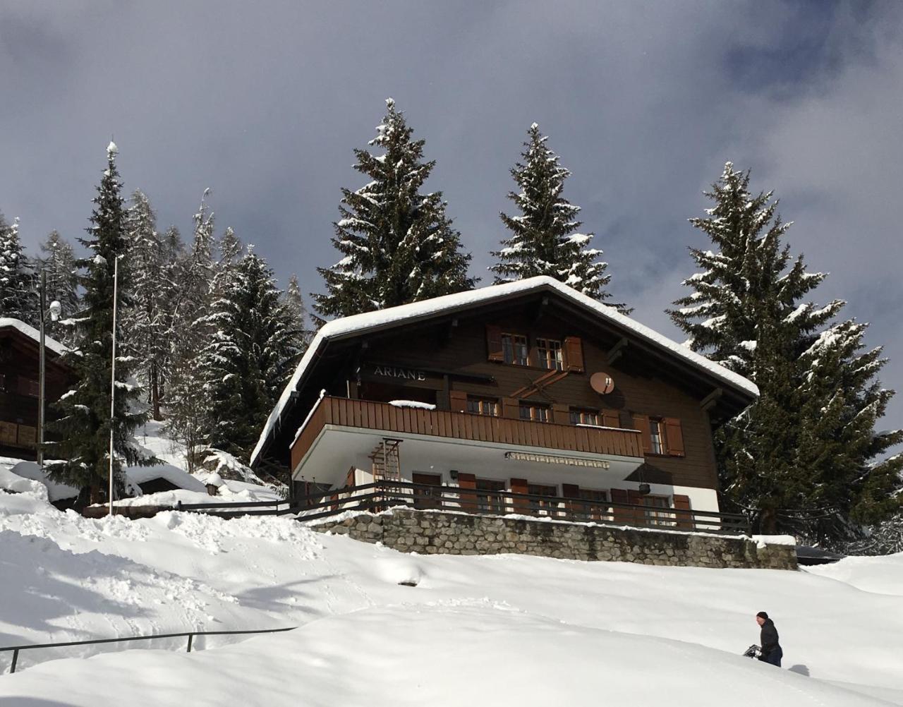 Chalet Ariane Blatten bei Naters Extérieur photo